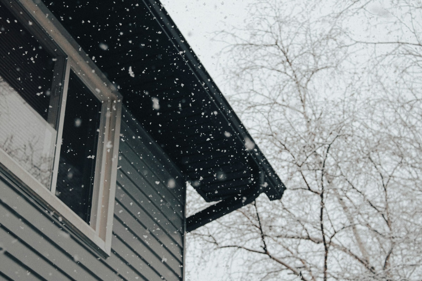 Emergency Roof Repair — Oscar Roofing